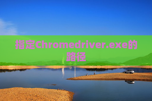 指定Chromedriver.exe的路径